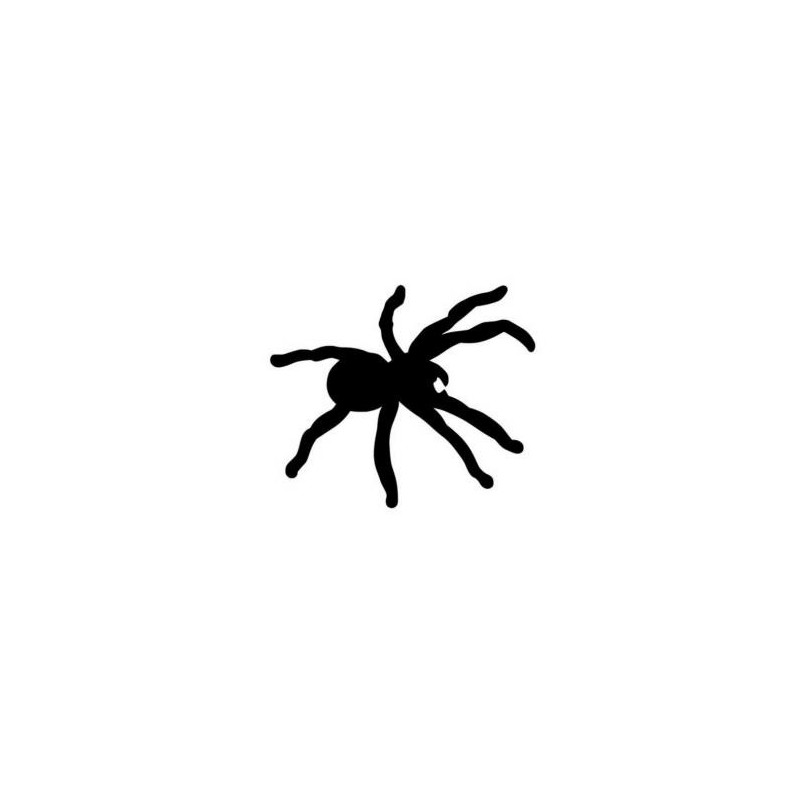 Pavouk - plastová šablona 085, D 29x29cm